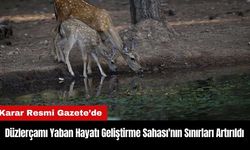 Antalya Düzlerçamı Yaban Hayatı Geliştirme Sahası'nın Sınırları Artırıldı