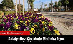 Antalya Kışa Çiçeklerle Merhaba Diyor