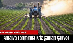 Antalya Tarımında Kriz Çanları Çalıyor: Girdi Fiyatları Rekor Kırdı!