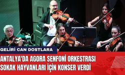 Antalya'da Agora Senfoni Orkestrası Sokak Hayvanları İçin Konser Verdi