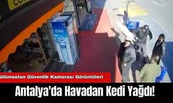 Antalya’da Şaşırtan Anlar! Antalya'da Havadan Kedi Yağdı!