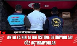 Antalya'nın Altını Üstüne Getiriyorlar! Göz Açtırmıyorlar