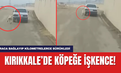 Kırıkkale’de Köpeğe İşkence! Araca Bağlayıp kilometrelerce sürükledi