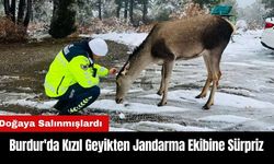 Burdur'da Kızıl Geyikten Jandarma Ekibine Sürpriz