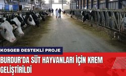 Burdur MAKÜ'de Süt Hayvanları İçin Krem Geliştirildi