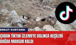 Çoban TikTok İzlemeye Dalınca Keçileri Dağda Mahsur Kaldı