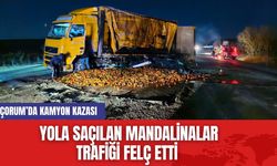 Çorum’da Kamyon Kazası: Yola Saçılan Mandalinalar Trafiği Felç Etti