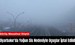 Diyarbakır'da Yoğun Sis Nedeniyle Uçuşlar İptal Edildi