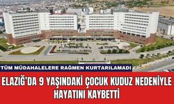 Elazığ’da 9 Yaşındaki Çocuk Kuduz Nedeniyle Hayatını Kaybetti