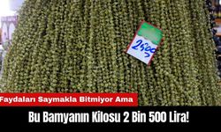 Faydaları Saymakla Bitmiyor Ama Bu Bamyanın Kilosu 2 Bin 500 Lira!