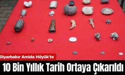 Amida Höyük'te 10 Bin Yıllık Tarih Ortaya Çıkarıldı