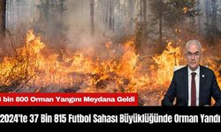 2024'te 37 Bin 815 Futbol Sahası Büyüklüğünde Orman Yandı