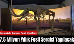 Kayseri’de 7,5 Milyon Yıllık Fosil Sergisi Yapılacak