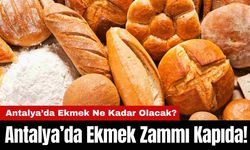 Antalya’da Ekmek Zammı Kapıda! Antalya'da Ekmek Ne Kadar Olacak?