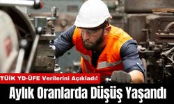 TÜİK YD-ÜFE Verilerini Açıkladı! Aylık Oranlarda Düşüş Yaşandı