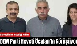 DEM Parti Heyeti Öcalan'la Görüşüyor