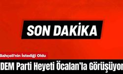 DEM Parti Heyeti Öcalan'la Görüşüyor