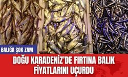 Doğu Karadeniz’de Fırtına Balık Fiyatlarını Uçurdu: Balığa Şok Zam