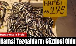 Karadeniz’in İncisi Hamsi Tezgahların Gözdesi Oldu