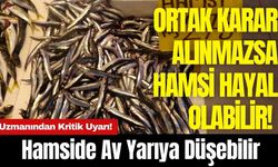 Uzmanından Kritik Uyarı! Hamside Av Yarıya Düşebilir