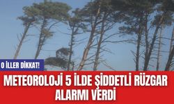 Meteoroloji 5 ilde şiddetli rüzgar alarmı verdi