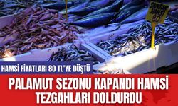 Palamut Sezonu Kapandı Hamsi Tezgahları Doldurdu