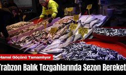 Trabzon Balık Tezgahlarında Sezon Bereketi