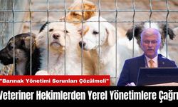 Veteriner Hekimlerden Yerel Yönetimlere Çağrı