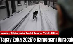 Yapay Zeka 2025’e Damgasını Vuracak