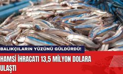 Hamsi İhracatı 13,5 Milyon Dolara Ulaştı