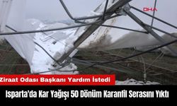 Isparta'da Kar Yağışı 50 Dönüm Karanfil Serasını Yıktı!