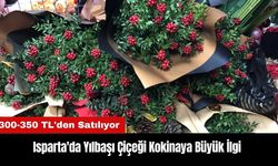 Isparta'da Yılbaşı Çiçeği Kokinaya Büyük İlgi