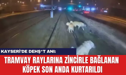 Kayseri'de Dehş*t Anı: Tramvay Raylarına Zincirle Bağlanan Köpek Kurtarıldı