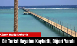 Köpek Balığı Dehş*ti: Bir Turist Hayatını Kaybetti, Diğeri Yaralı