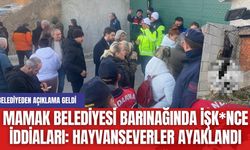 Mamak Belediyesi Barınağında İşk*nce İddiaları: Hayvanseverler Ayaklandı