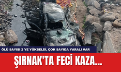 Şırnak'ta feci kaza... Ölü sayısı 2 ye yükseldi, çok sayıda yaralı var