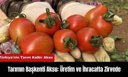 Tarımın Başkenti Aksu: Üretim ve İhracatta Zirvede