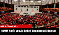 TBMM Narin ve Sıla Bebek Davalarına Katılacak