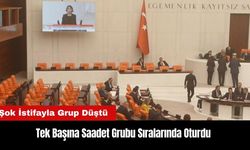 Tek Başına Saadet Grubu Sıralarında Oturdu