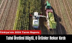 Türkiye'nin 2024 Tarım Raporu: Tahıl Üretimi Düştü O Ürünler Rekor Kırdı