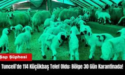 114 Küçükbaş Telef Oldu: Bölge 30 Gün Karantinada