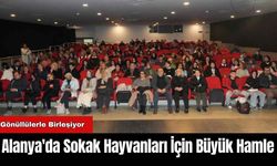 Alanya'da Sokak Hayvanları İçin Büyük Hamle