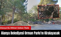 Antalya Alanya'da Dikkat Çeken İhale!