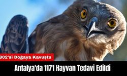 Antalya Doğal Yaşam Parkı'nda 1171 Hayvan Tedavi Edildi