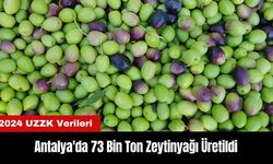 Antalya'da 73 Bin Ton Zeytinyağı Üretildi