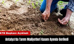 Antalya'da Tarım Maliyetleri Kasım Ayında Geriledi