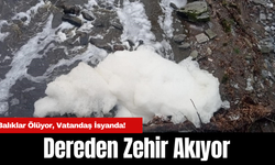 Dereden Zehir Akıyor: Balıklar Ölüyor, Vatandaş İsyanda!