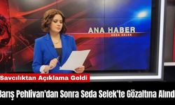 Barış Pehlivan'dan Sonra Seda Selek'te Gözaltına Alındı