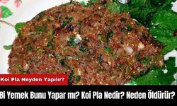 Koi Pla Nedir? Neden Öldürür? Bi Yemek Bunu Yapar mı?