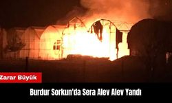 Burdur Sorkun'da Sera Alev Alev Yandı